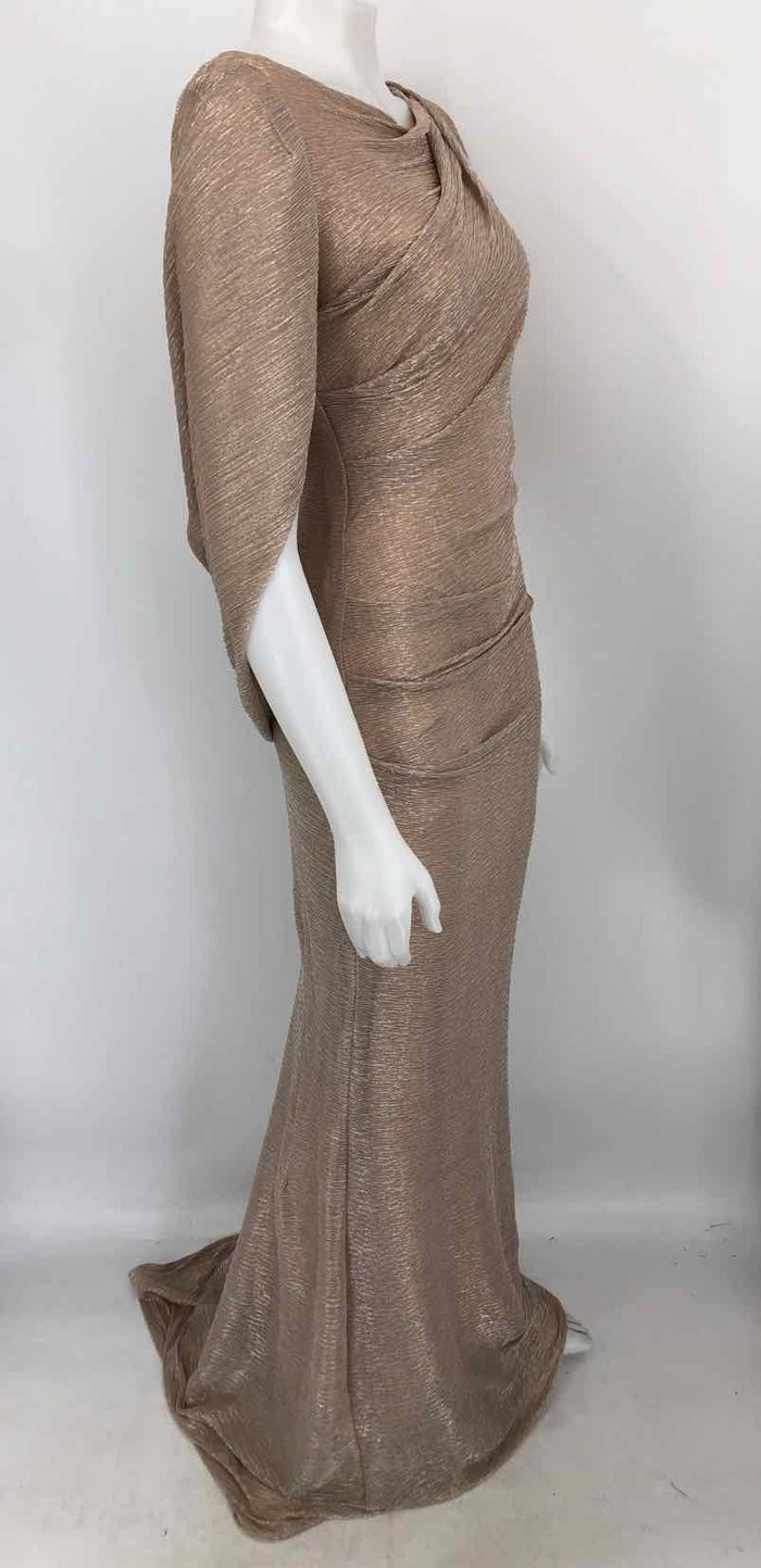 BETSEY & ADAM Beige Silver Sparkle Maxi Length Size 4  (S) Dress