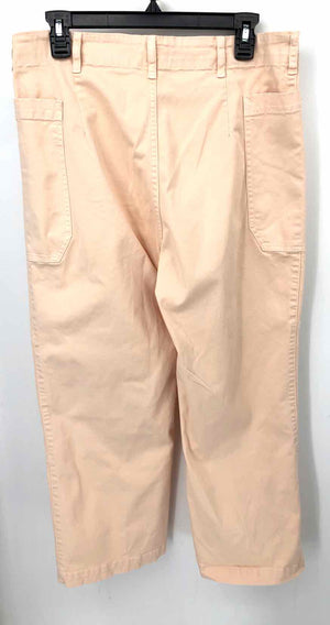 FRAME Peach Painter Size 32  (L) Pants