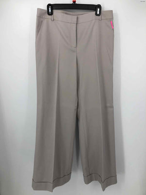 ST. JOHN Lt Gray Slacks Size 10  (M) Pants