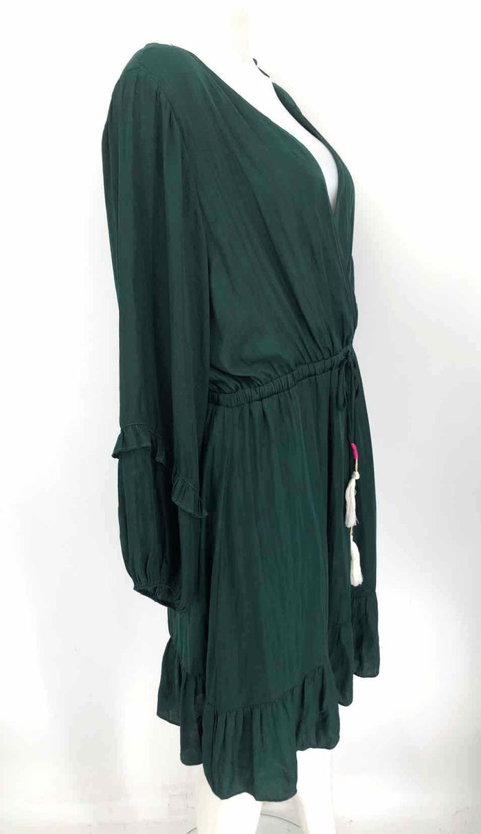 DOLAN Green Size LARGE  (L) Dress