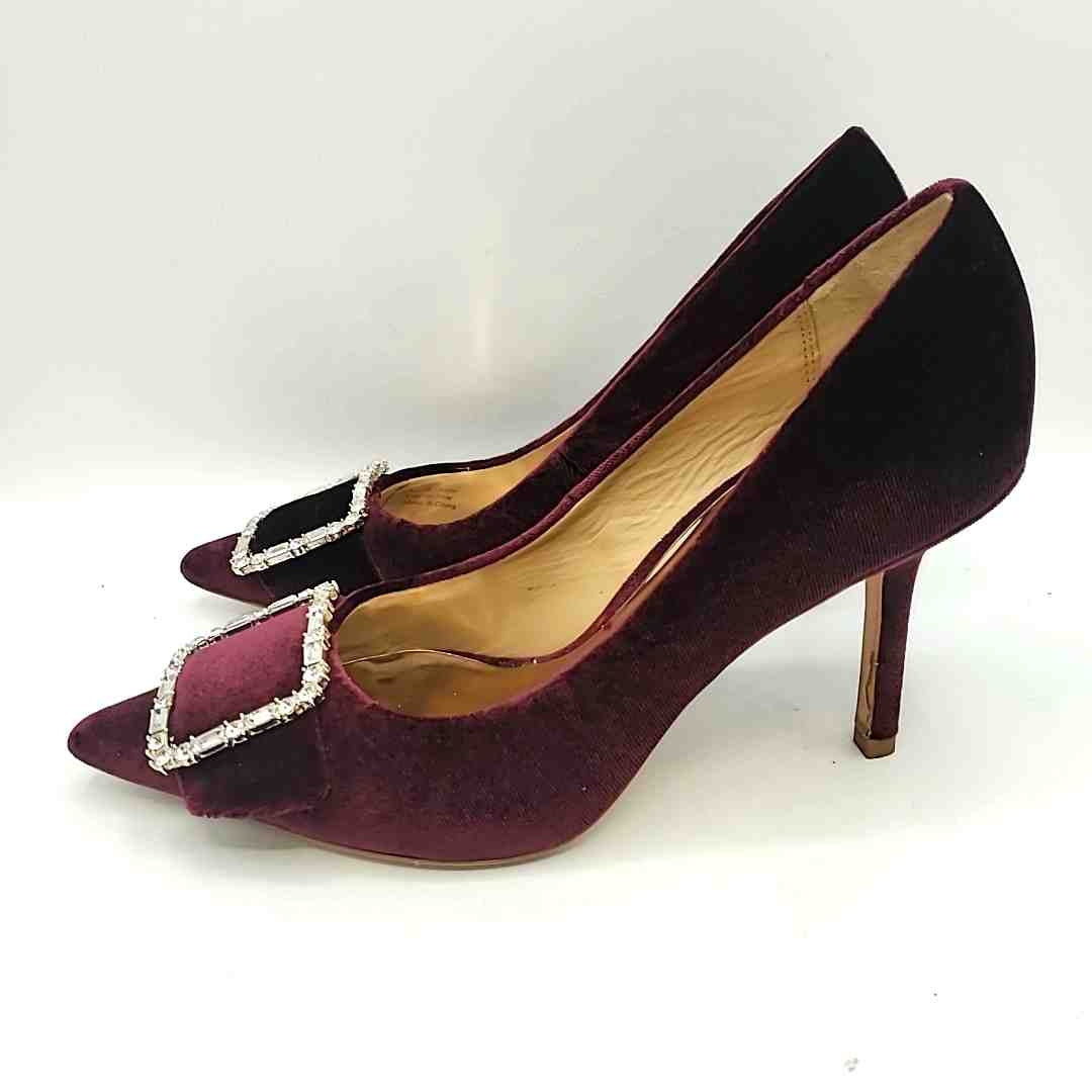 Badgley popular Mischka Devi Velvet Pointed Toe Pumps