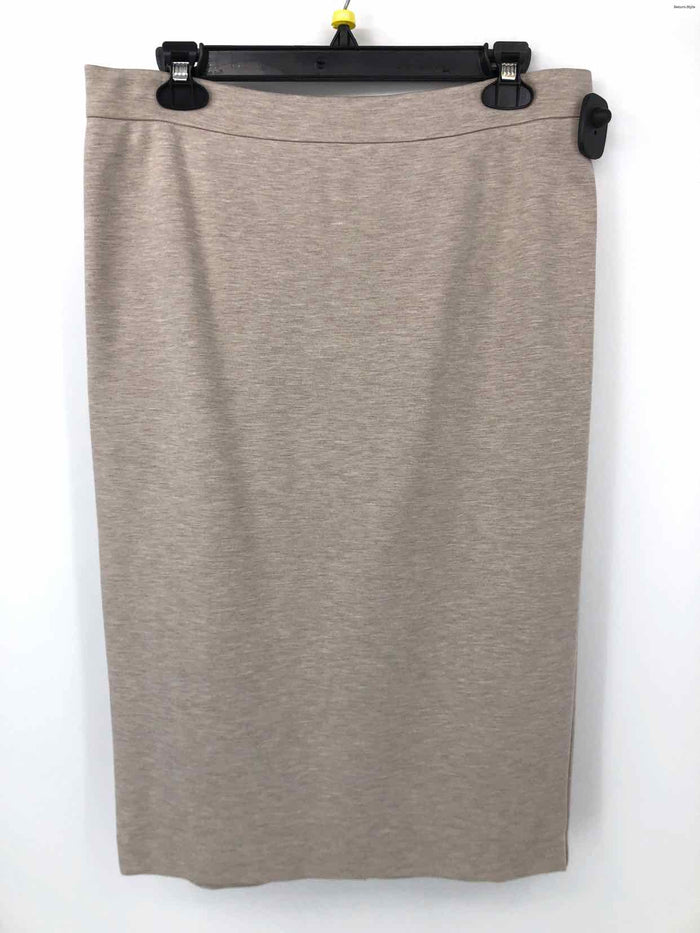 MAX MARA Lt Gray Knee Length Size 12  (L) Skirt
