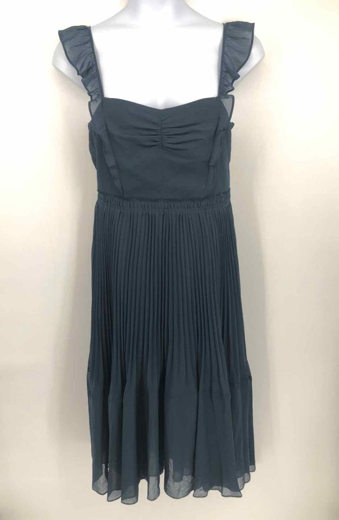 CLUB MONACO Navy Chiffon Maxi Length Size 10  (M) Dress
