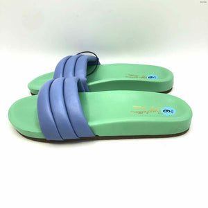 SEYCHELLES Blue Lt Green Leather Slides Shoe Size 6 Shoes